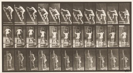 Plate 110. Ascending Stepladder, Two Steps at a Time