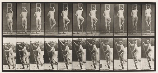 Plate 111. Ascending Ladder