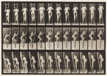 Plate 112. Ascending Ladder