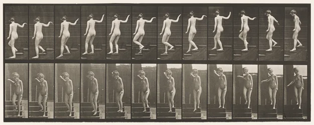 Plate 132. Descending Stairs, Turning to Look Around & Waving Hand