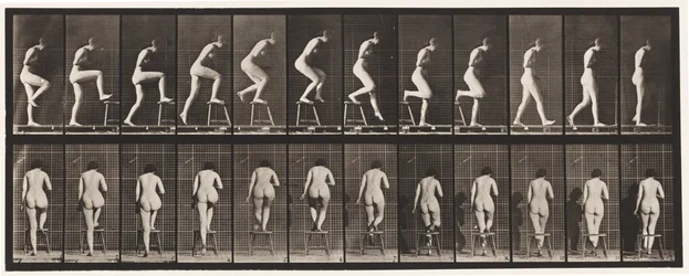 Plate 180. Stepping On and Over a Chair