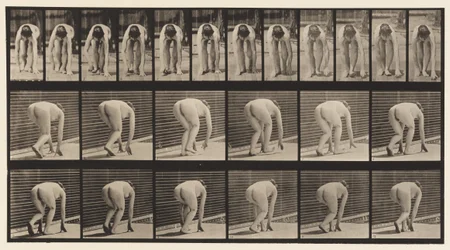 Plate 184. Walking on Hands and Feet