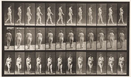 Walking, Left Hand Across Abdomen