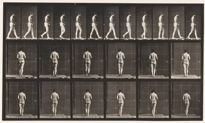 Plate 21. Walking, Both Elbows Bent
