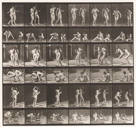 Plate 245. Two Models Turning Around Sitting on the Ground