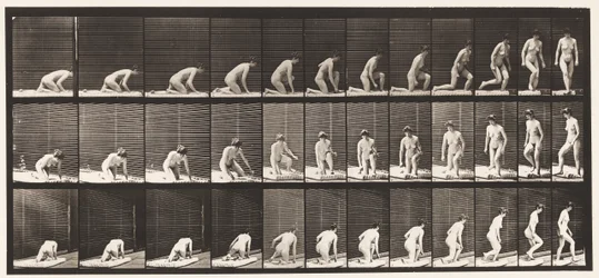 Plate 255. Arising from Kneeling and Turning