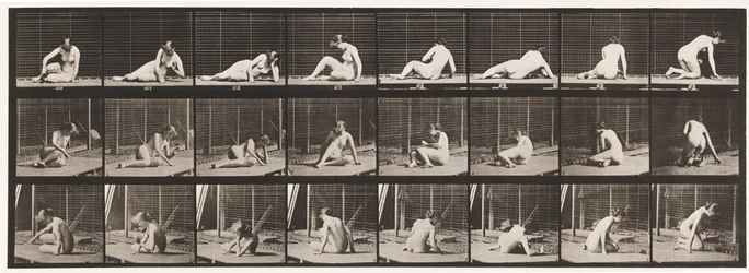 Plate 266. Turning and Changing Position While Still on the Ground