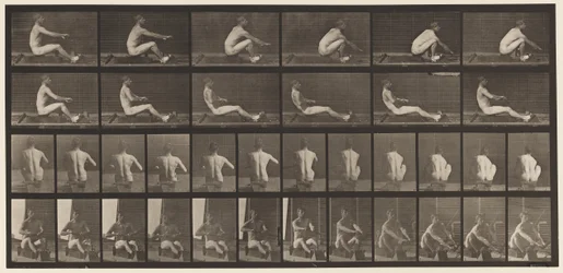 Plate 328. Rowing