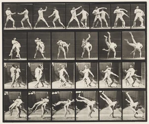 Plate 332. Boxing; Cross-Buttocks
