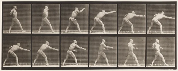 Plate 344. Striking a Blow (Right Hand)