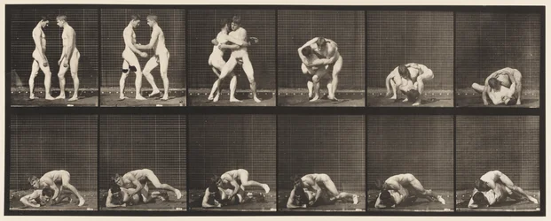 Wrestling, Lock
