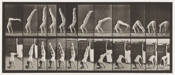 Acrobat, Vertical Press Up