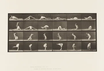 Contortions on the Ground, 1872-1885