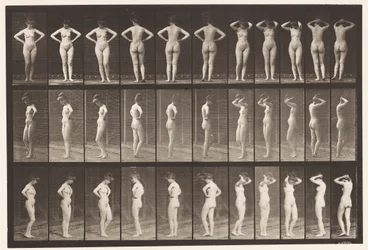 Plate 531. Various Poses