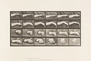 Movement of the Hand; Drawing a Circle