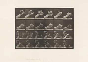 Movement of the Hand; Clasping Hands