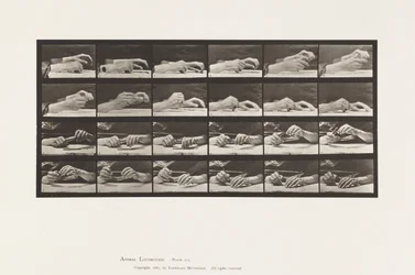 Movement of the Hand; Hands Changing Pencil (Plate 536)