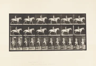 Walking; Saddle; Rider, 43, Nude; Light-Gray Horse Smith (Plate 582)