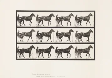 Walking; Sulky; Bay Horse Reuben, 1885