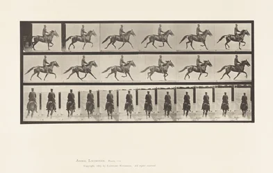 Rocking (Pacing): Saddle; Brown Horse Pronto (Plate 592)