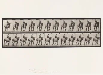 Trotting; Bareback; Dark-Gray Dusel (Plate 599)