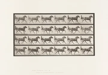 Trotting; Sulky; Bay Mare, Lizzie M. (Plate 609)