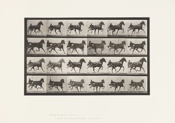 Plate 613. Trotting; Sulky; Sorrel Mare Nellie Rose