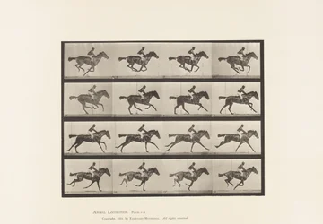 Gallop; Thoroughbred Bay Mare Annie G. (Plate 626)
