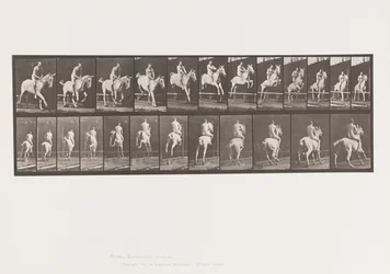 Plate 647. Jumping a Hurdle; Bareback; Rider