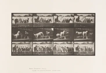 Plate 651. A, Bell ringing; B, Teeter Board; C, Military Drill