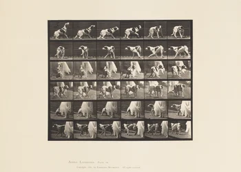 Dog; Turning Around, etc; Setter Kate (Plate 713)