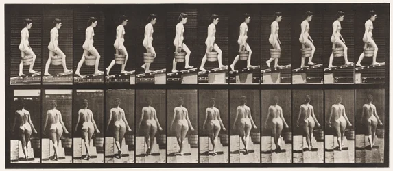 Plate 83. Ascending Incline, Bucket of Water in Right Hand