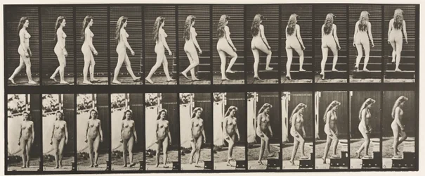 Plate 99. Turning and Ascending Stairs
