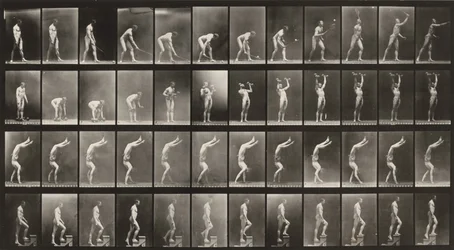Plate Number 488. A: Lawn tennis. B: Dumbbells. C: Walking on hands. D: Ascending stairs