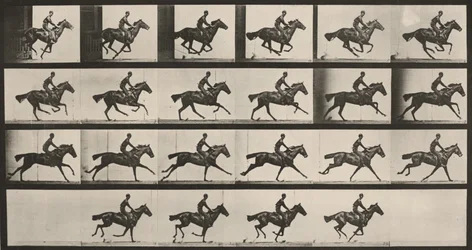 Plate Number 625. “Bouquet” Galloping