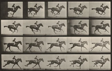 Plate Number 627. “Annie G.” galloping