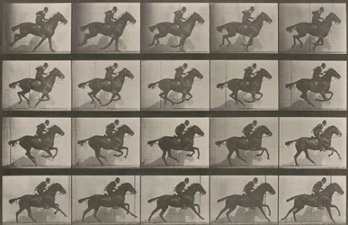 Plate Number 628. "Daisy" galloping
