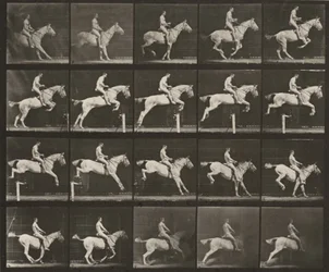 Plate Number 642. "Pandora" jumping a hurdle, saddled; rider nude