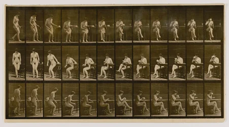 Woman Seated, Legs Crossed, Drinking from Teacup, from the book Animal Locomotion