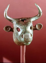 Bull