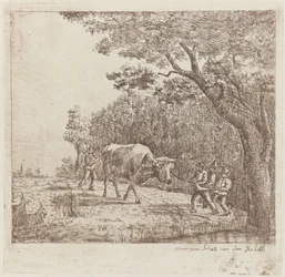 Four Men and a Bull