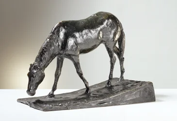 Horse at Trough