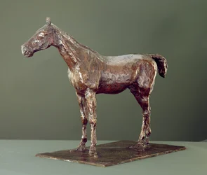 Standing Horse