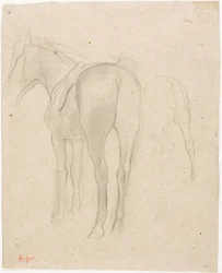 Studies of a Horse