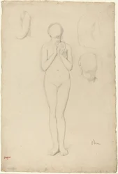 Study of a Female Nude