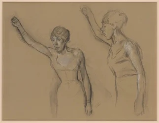 Study of a Singer