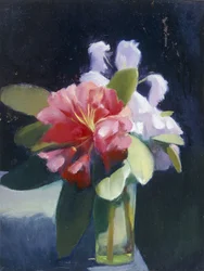 Rhododendrons