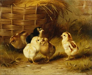 Chicks by a Basket