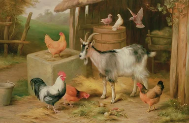 Farmyard Scene