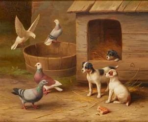 Puppies and Pigeons